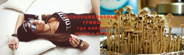 МДПВ Алексеевка