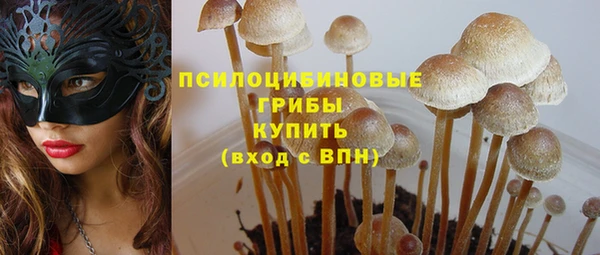 герыч Алзамай