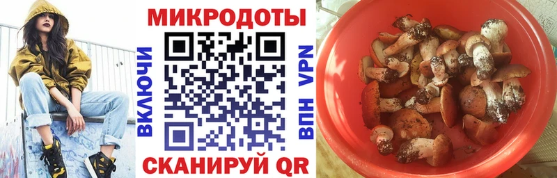 где можно купить   Петушки  Псилоцибиновые грибы Psilocybine cubensis 